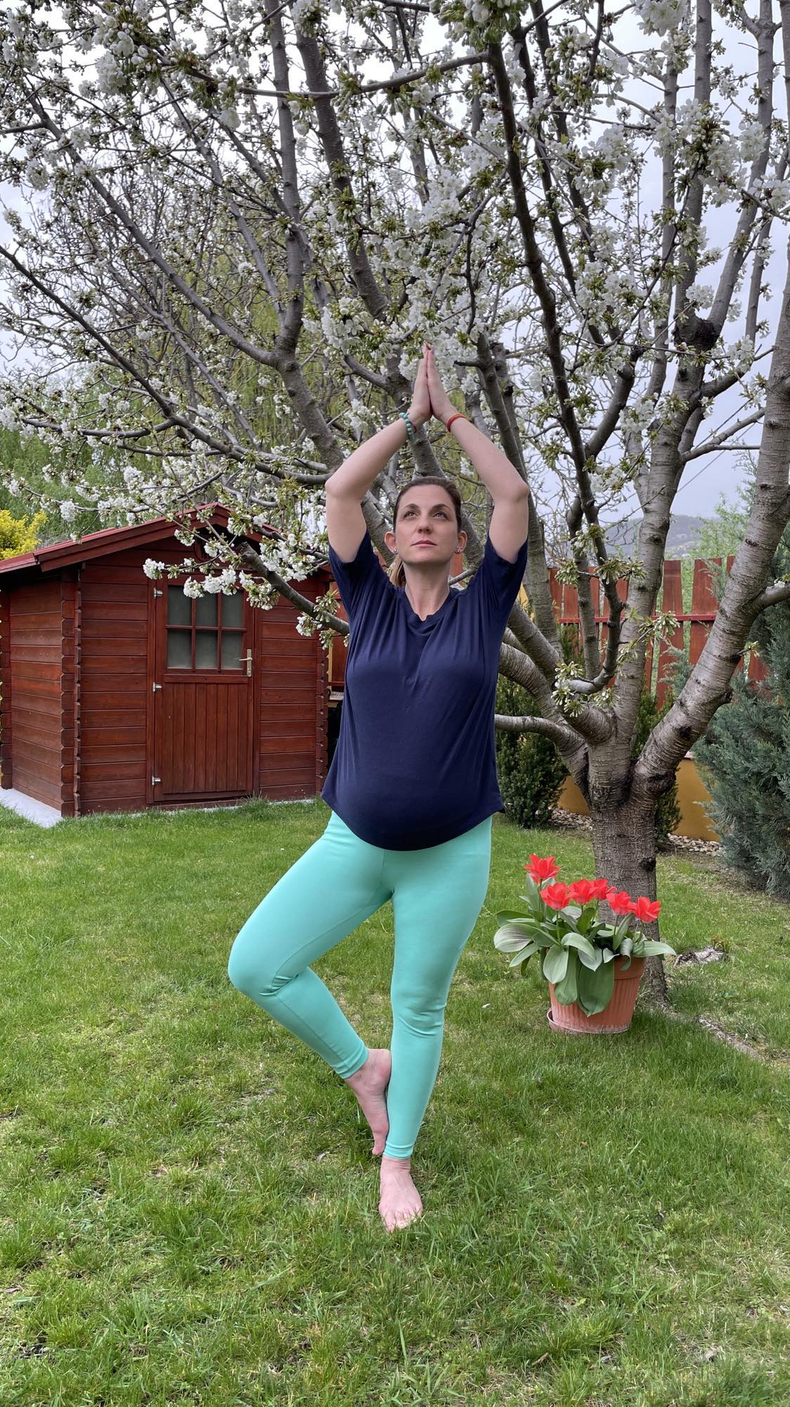 Amikor gyökereink mélyen vannak, nincs az a vihar, ami kibillent